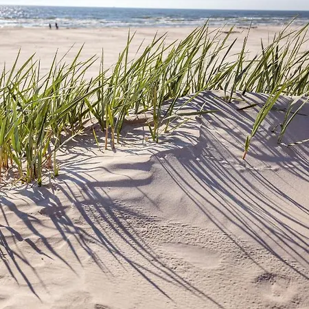 #stayhere - Seaside Story Modern 1bdr With Terrace Apartament Połąga